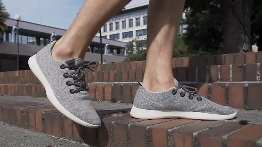 shoes-like-allbirds