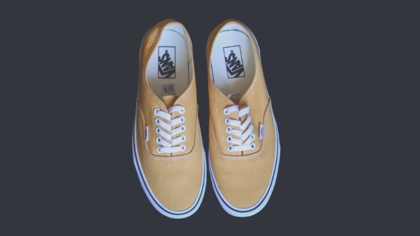 pair of vans shoes