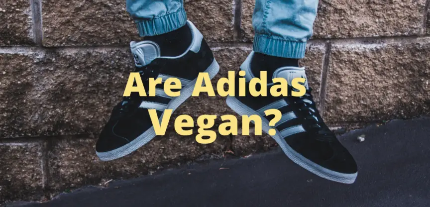 Are Adidas Vegan