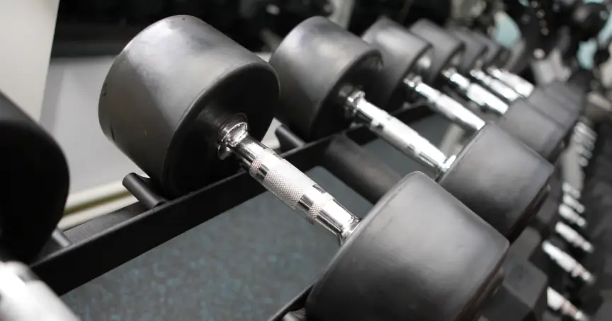 Chest Workouts with Dumbbells